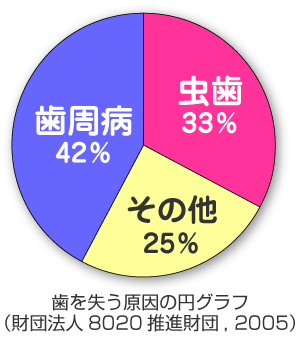 歯を失う原因