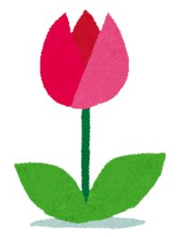 flower_tulip.png