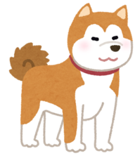 dog_akitainu.png