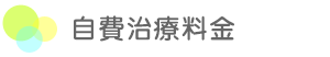 自費治療料金